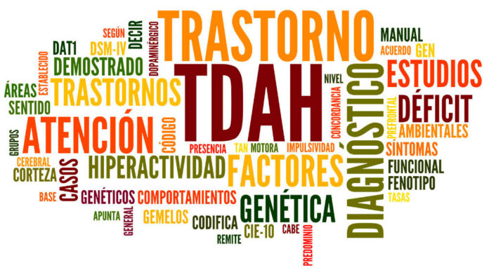 Tdah ¿qué Es Cómo Lo Identifico Y Como Se Trata Tqe 